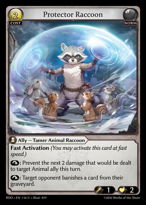 Protector Raccoon
